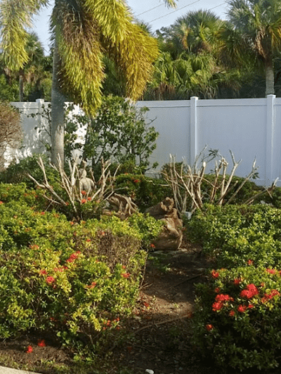 Garden Close up